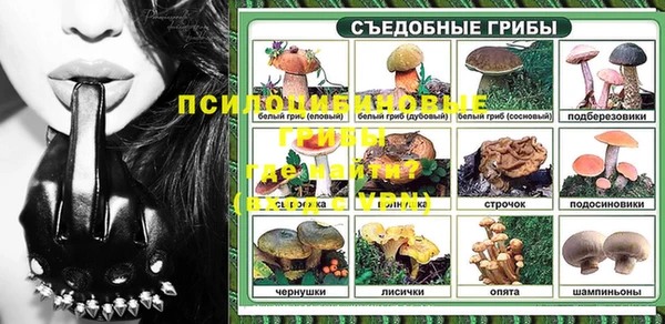 меф Горняк
