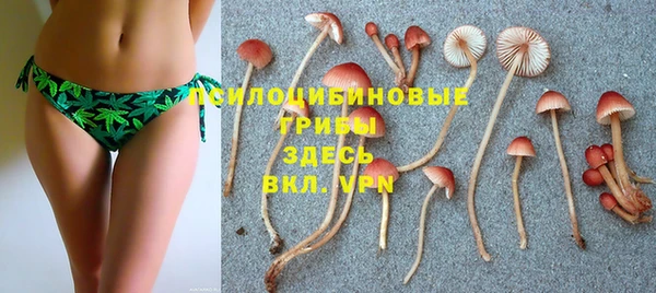марки nbome Горнозаводск
